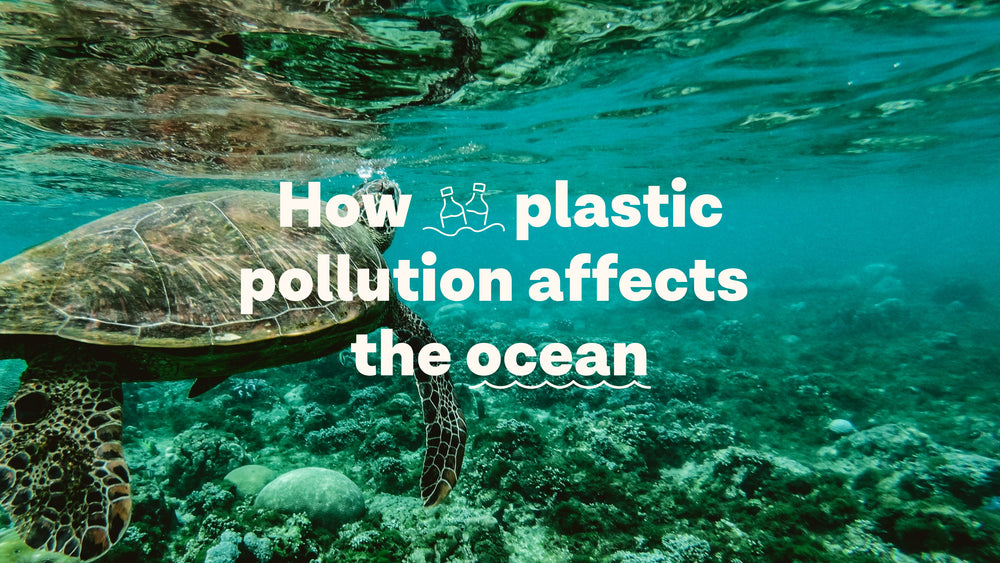 How plastic pollution affects the ocean